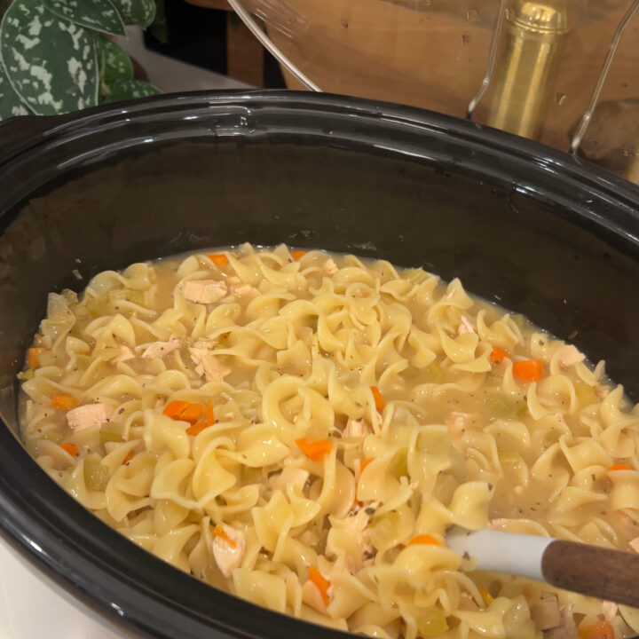 Worlds Easiest Chicken Noodle Soup